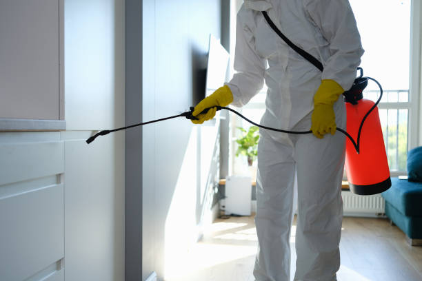 Best Post-Flood Mold Remediation in Adrian, MO